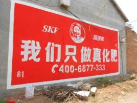 罗田刷墙广告”蕴含了时代命题