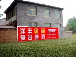 罗田如何让墙体广告展现最大化效果