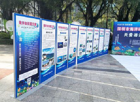 罗田KT板的种类和知识。